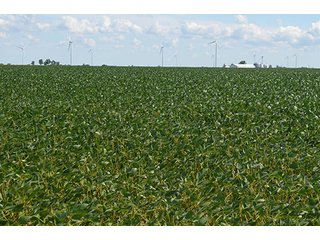 Property photo 9 - 233 +/- Acres Offered in 3 Tracts, Ohio Land Auction